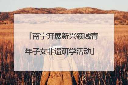 南宁开展新兴领域青年子女非遗研学活动