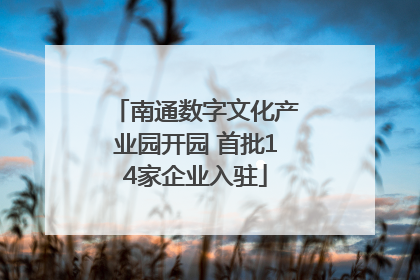 南通数字文化产业园开园 首批14家企业入驻