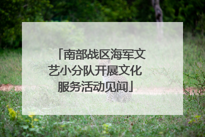南部战区海军文艺小分队开展文化服务活动见闻