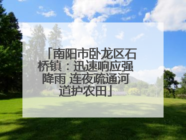 南阳市卧龙区石桥镇：迅速响应强降雨 连夜疏通河道护农田