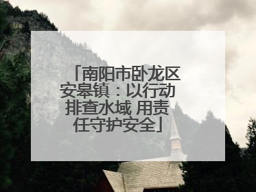 南阳市卧龙区安皋镇：以行动排查水域 用责任守护安全