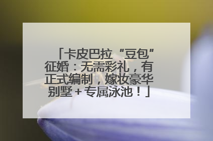 卡皮巴拉“豆包”征婚：无需彩礼，有正式编制，嫁妆豪华别墅＋专属泳池！