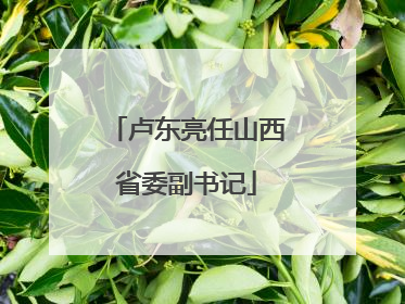 卢东亮任山西省委副书记