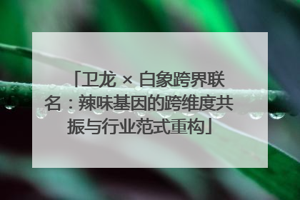 卫龙 × 白象跨界联名：辣味基因的跨维度共振与行业范式重构