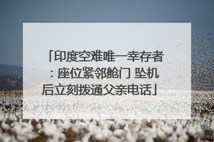 印度空难唯一幸存者：座位紧邻舱门 坠机后立刻拨通父亲电话