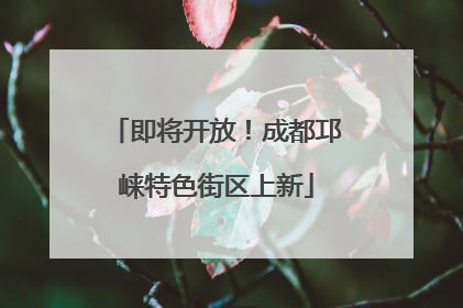 即将开放！成都邛崃特色街区上新
