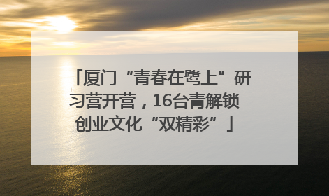 厦门“青春在鹭上”研习营开营，16台青解锁创业文化“双精彩”