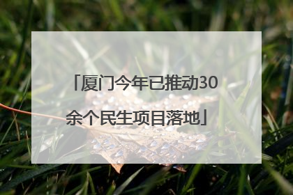 厦门今年已推动30余个民生项目落地