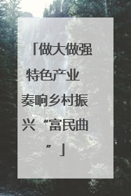 做大做强特色产业 奏响乡村振兴“富民曲”