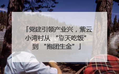 党建引领产业兴，紫云小湾村从 “靠天吃饭” 到 “抱团生金”
