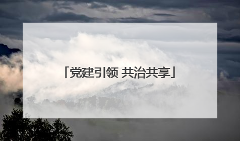 党建引领 共治共享