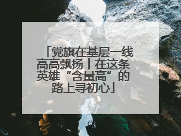 党旗在基层一线高高飘扬丨在这条英雄“含量高”的路上寻初心