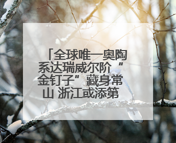 全球唯一奥陶系达瑞威尔阶“金钉子”藏身常山 浙江或添第二座世界地质公园