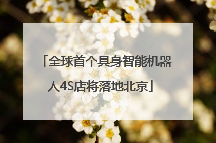 全球首个具身智能机器人4S店将落地北京