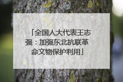 全国人大代表王志强：加强东北抗联革命文物保护利用