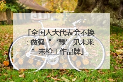 全国人大代表金不换：做强“‘豫’见未来”未检工作品牌