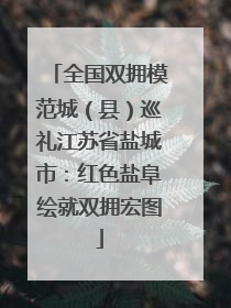 全国双拥模范城（县）巡礼江苏省盐城市：红色盐阜绘就双拥宏图