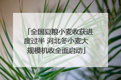 全国夏粮小麦收获进度过半 河北冬小麦大规模机收全面启动