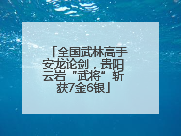全国武林高手安龙论剑，贵阳云岩“武将”斩获7金6银