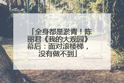 全身都是淤青！陈丽君《我的大观园》幕后：面对滚楼梯，没有做不到