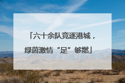 六十余队竞逐港城，绿茵激情“足”够燃