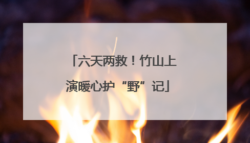 六天两救！竹山上演暖心护“野”记