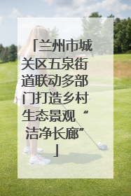 兰州市城关区五泉街道联动多部门打造乡村生态景观“洁净长廊”