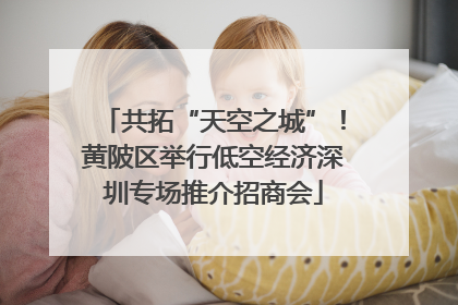 共拓“天空之城”！黄陂区举行低空经济深圳专场推介招商会