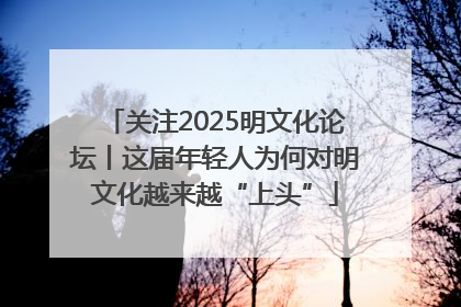 关注2025明文化论坛丨这届年轻人为何对明文化越来越“上头”