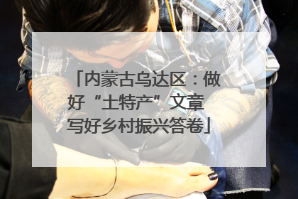 内蒙古乌达区：做好“土特产”文章 写好乡村振兴答卷