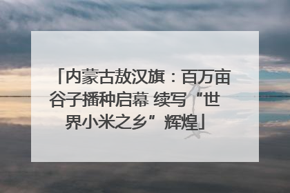 内蒙古敖汉旗：百万亩谷子播种启幕 续写“世界小米之乡”辉煌