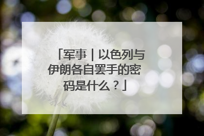 军事｜以色列与伊朗各自罢手的密码是什么？
