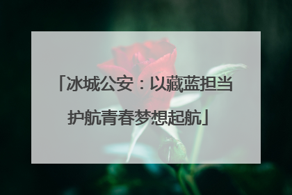 冰城公安：以藏蓝担当 护航青春梦想起航