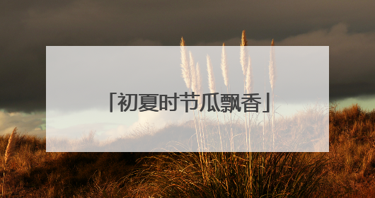 初夏时节瓜飘香