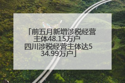 前五月新增涉税经营主体48.15万户 四川涉税经营主体达534.99万户