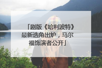 剧版《哈利波特》最新选角出炉，马尔福饰演者公开