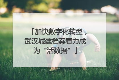 加快数字化转型，武汉城建档案着力成为“活数据”