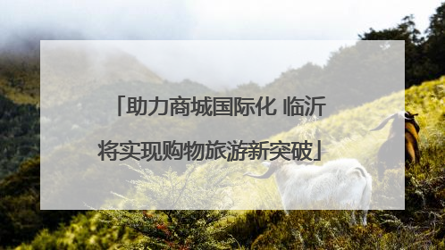助力商城国际化 临沂将实现购物旅游新突破