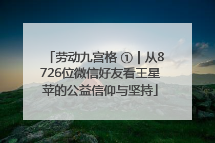 劳动九宫格 ①｜从8726位微信好友看王星苹的公益信仰与坚持