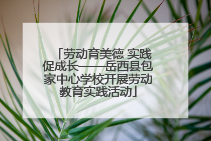劳动育美德 实践促成长——岳西县包家中心学校开展劳动教育实践活动