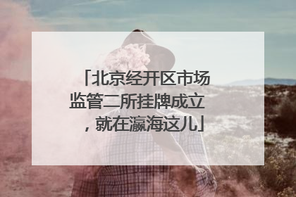 北京经开区市场监管二所挂牌成立，就在瀛海这儿