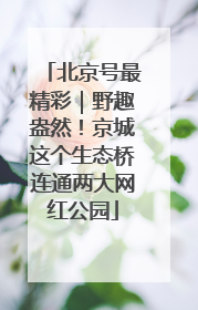 北京号最精彩｜野趣盎然！京城这个生态桥连通两大网红公园