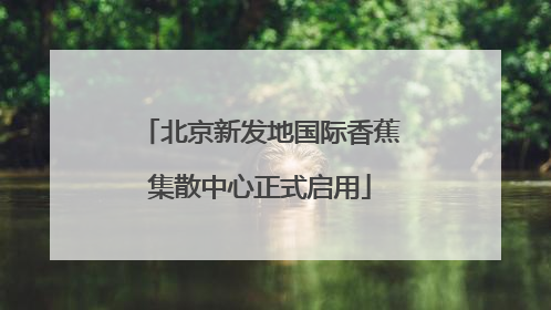 北京新发地国际香蕉集散中心正式启用