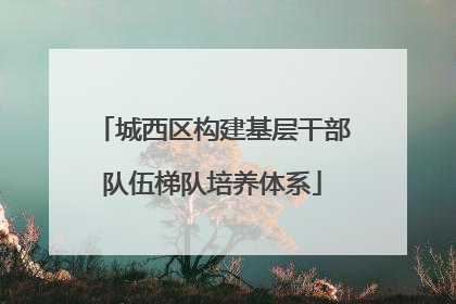 城西区构建基层干部队伍梯队培养体系