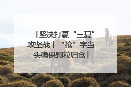 坚决打赢“三夏”攻坚战丨“抢”字当头确保颗粒归仓