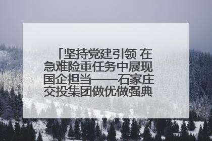 坚持党建引领 在急难险重任务中展现国企担当——石家庄交投集团做优做强典型报道之一