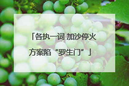 各执一词 加沙停火方案陷“罗生门”