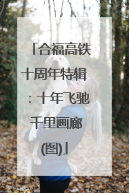 合福高铁十周年特辑：十年飞驰 千里画廊(图)