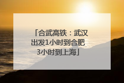 合武高铁：武汉出发1小时到合肥3小时到上海
