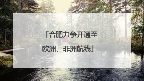 合肥力争开通至欧洲、非洲航线